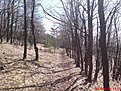 DSC00079
