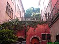 DSC00477