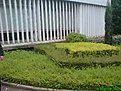 DSC00550