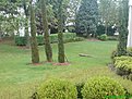DSC00551