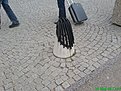 DSC00699