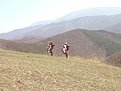 PICT0310