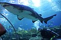 IMG 3800