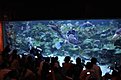 IMG 3809