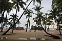 IMG 4297