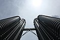 IMG 4442