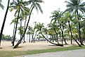 IMG 5801