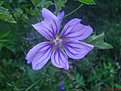 DSC00360