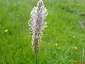 DSC00457