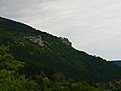 P49