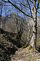 Skaklya0012