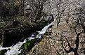 Skaklya0017
