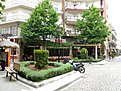 IMG 0978