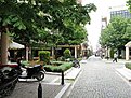 IMG 0969