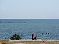 IMG 0898