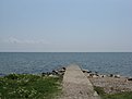 IMG 0884