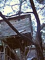 CIMG0216