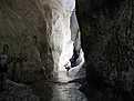 56990087.P7160144
