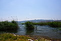 IMG 0492 1