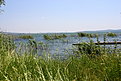 IMG 0497 1
