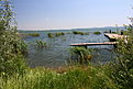 IMG 0498 1