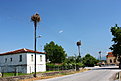 IMG 0503 1