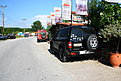 IMG 0521 1