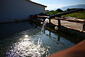 IMG 0531 1