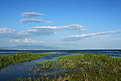 IMG 0560 1