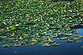 IMG 0567 1
