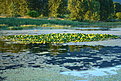 IMG 0578 1