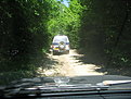 IMG 5547