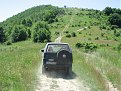 IMG 5582