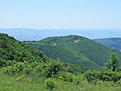 IMG 5591