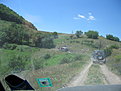 IMG 5600