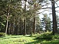 DSC01263