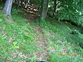 IMGP0593