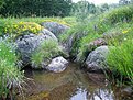 IMGP0599