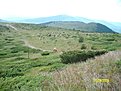 SANY0765