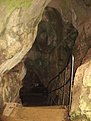 IMG 1118