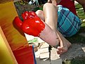 P1040432