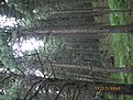 IMGP0681