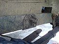 DSC02350