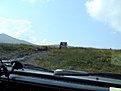 DSC02639