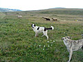 DSC02540