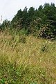 DSC06848