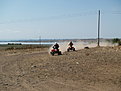 P8225694