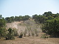 P8225835