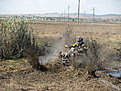 P8225894