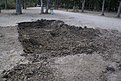 DSC04013